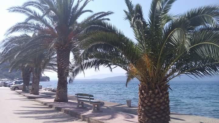 Riva Apartments Živogošće Esterno foto